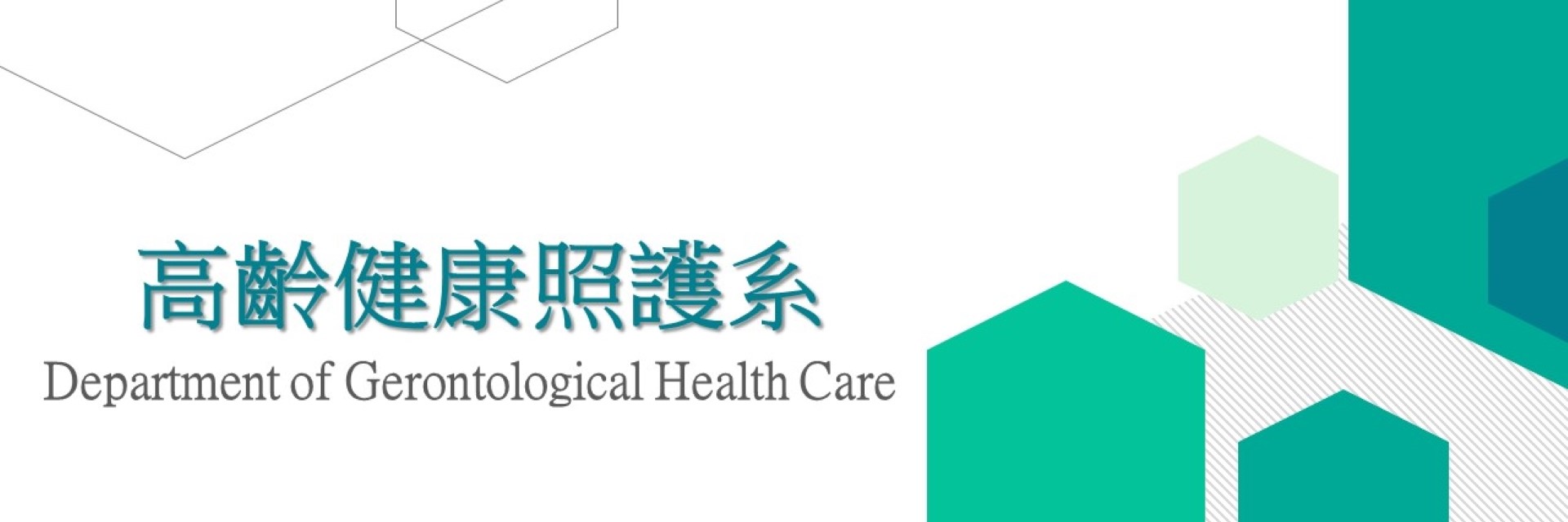 高齡健康照護系