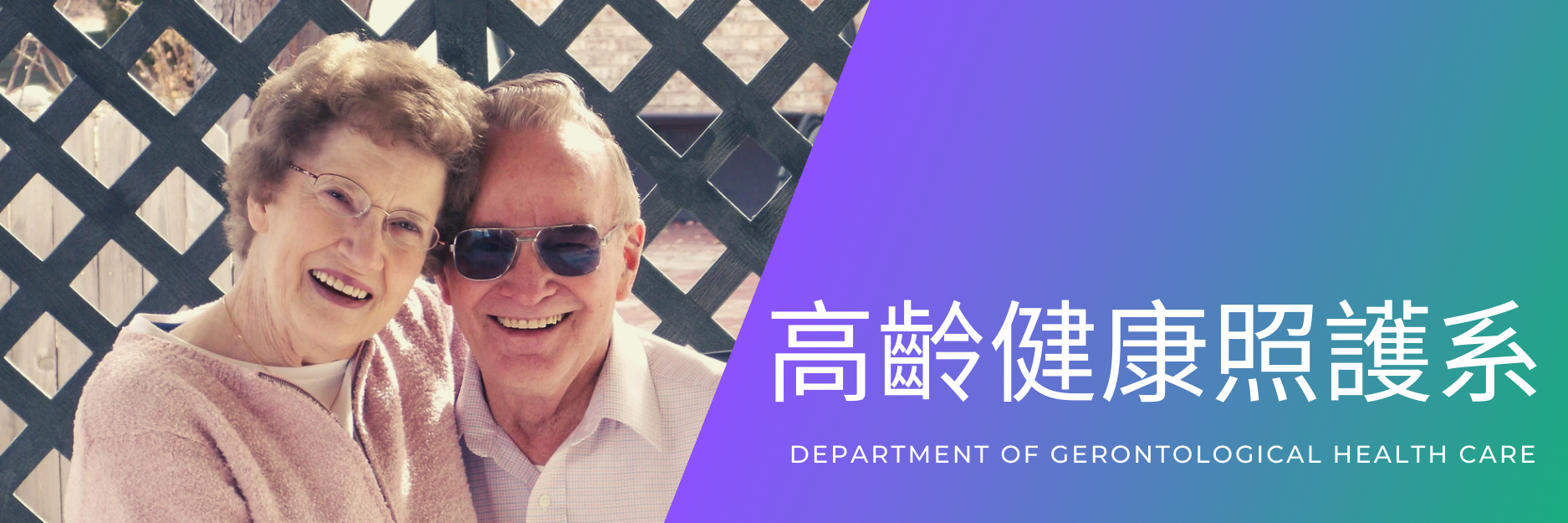 高齡健康照護系